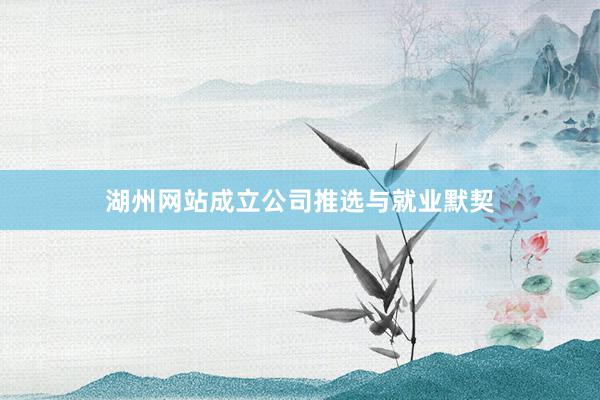 湖州网站成立公司推选与就业默契